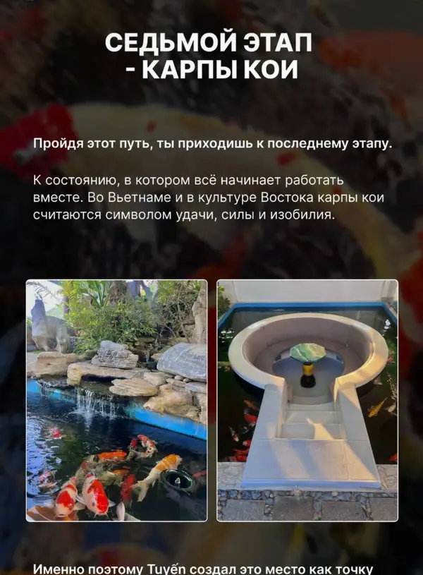 Седьмой этап — карпы кои